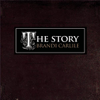 Brandi Carlile - The Story artwork