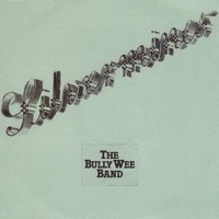 Silvermines by The Bully Wee Band on Apple Music