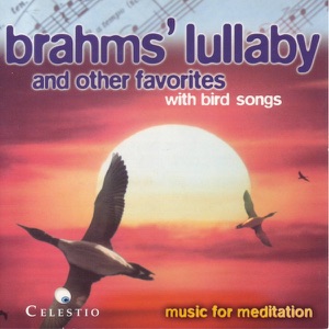 Trio for Violin, Violoncello and Piano No. 1 In B-Flat Major Op. 8 (Adagio)