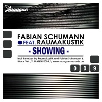 Showing (Remixes) - Single - Fabian Schumann & Raumakustik