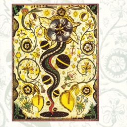 I Feel Alright by Steve Earle