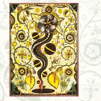Listen to I Feel Alright by Steve Earle