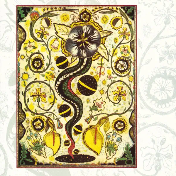 Cckmp — Steve Earle