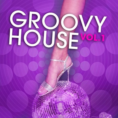 Groovy House, Vol. 1