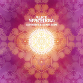 Sunships & Starseeds