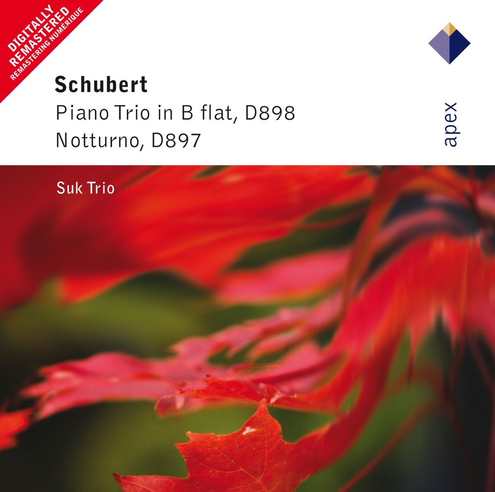 Обложка альбома «Schubert: Piano Trio No. 1, Piano Trio "Notturno"» — Suk Trio
