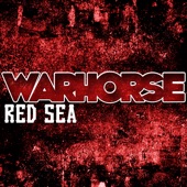 Warhorse - Confident But Wrong