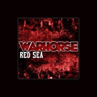 Warhorse