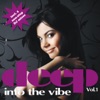 Deep Into The Vibe Vol. 1 (incl. 2 non-stop DJ mixes)