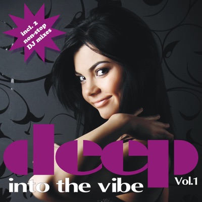 Deep Into The Vibe Vol. 1 (incl. 2 non-stop DJ mixes)