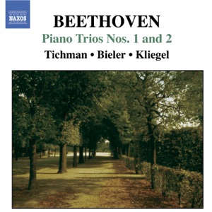 Piano Trio No. 2 in G Major, Op. 1, No. 2: I. Adagio