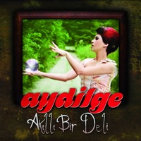 Akıllı Bir Deli - Single - Aydilge