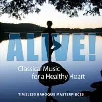 Concerto for 2 Horns and Orchestra in D major: 4. Allegro assai — Capella Istropolitana & Paul Kantschieder