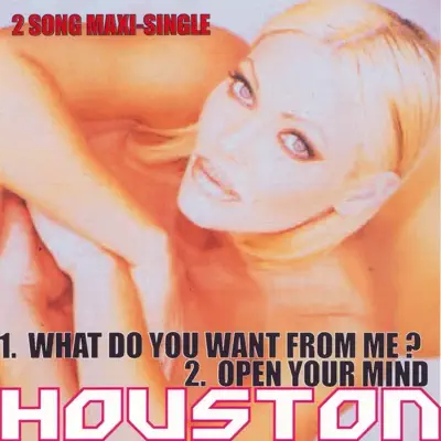 What Do You Want from Me - Houston