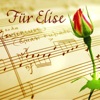 Fur Elise