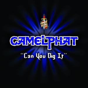 Can You Dig It - Single