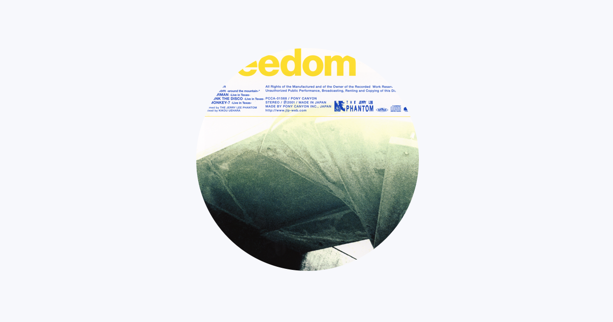 【希少盤】 THE JERRY LEE PHANTOM レコード 稀少盤】 THE JERRY LEE PHANTOM レコード - メルカリ