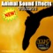 Chimp - Sound Effects of Hollywood lyrics