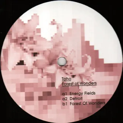 Taho adlı sanatçının Forest of Wonders - Ep albümünü dinle