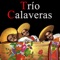 Veracruz - Trío Calaveras lyrics