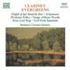 Budapest Clarinet Quintet - Lieder ohne Worte, Book 2, Op. 30: No. 2, Allegro di molto