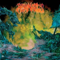 The Righteous Path Through The Forest Of Old