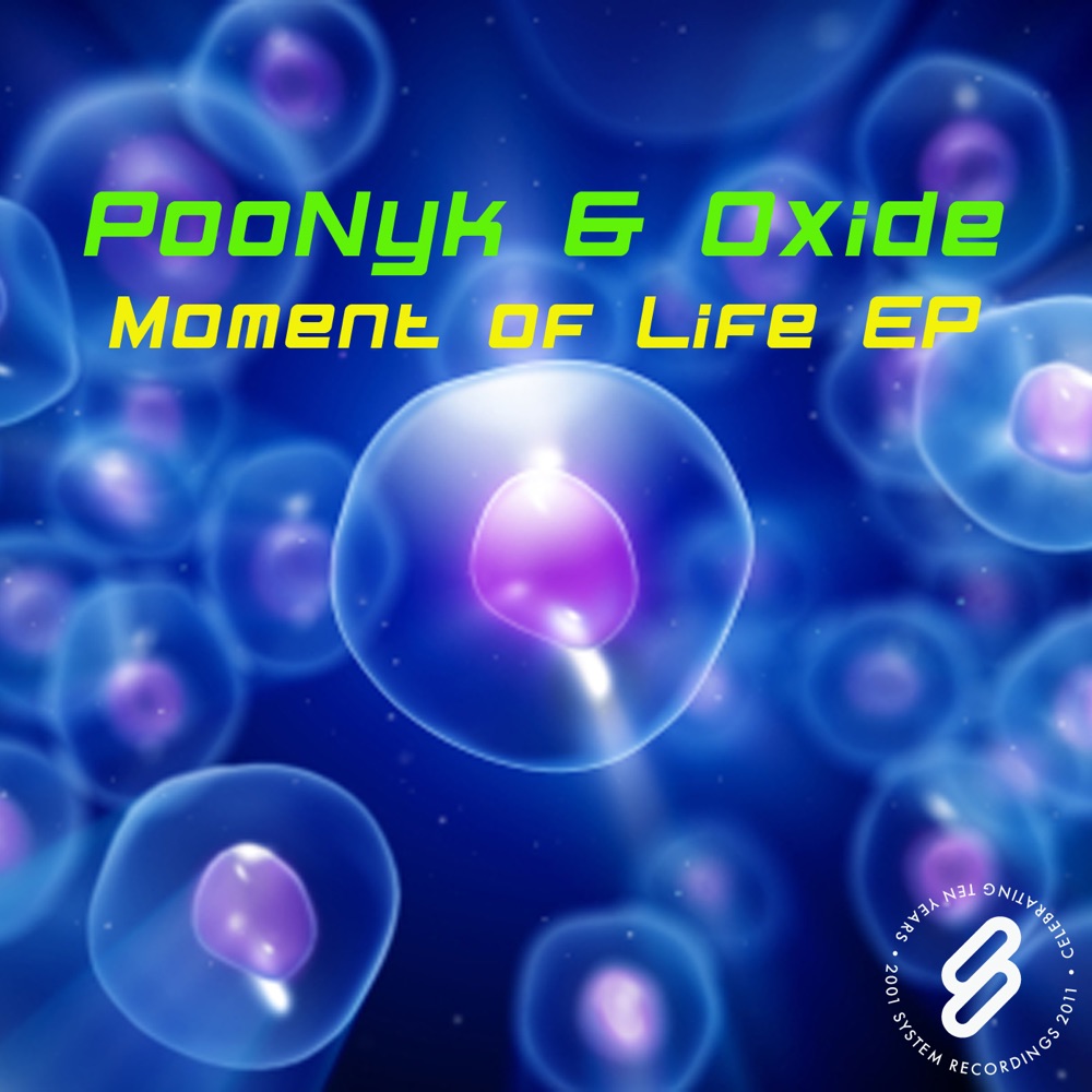 Обложка альбома «Moment of Life Ep - Single» — Poonyk & Oxide
