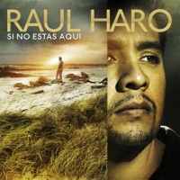 Raúl Haro - Si No Estas Aquí