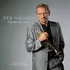 Per Nielsen - My Heart Will Go On