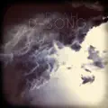 D. Song