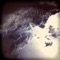 D. Song (feat. Anomie Belle) - Yppah lyrics