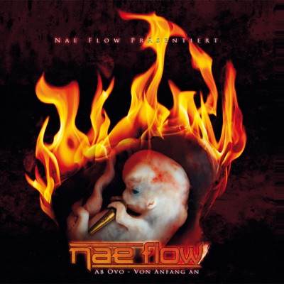 Ab Ovo – Von Anfang an