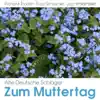 Schwalbenlied