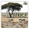This Is Africa Vol 1 Part 2