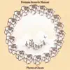 PFM Premiata Forneria Marconi - Celebration