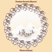 PFM Premiata Forneria Marconi - Promenade the Puzzle