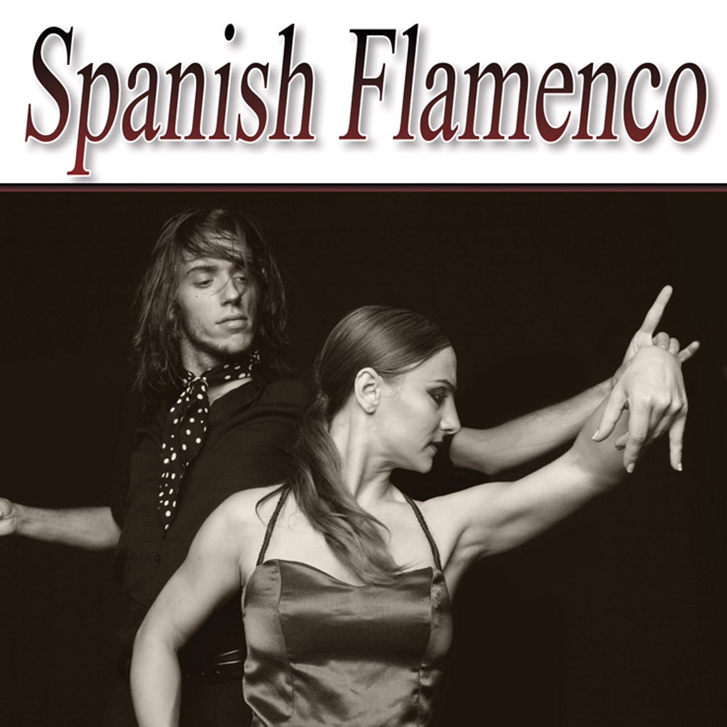 Spanish Flamenco, V*l. 4
