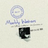 Authorized Bootleg: Muddy Waters (Live At the Fillmore Auditorium, San Francisco, CA - November 4-6, 1966), 2009