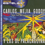 Carlos Mejia Godoy - Son Tus Perjúmenes Mujer