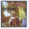 Kites & Crows