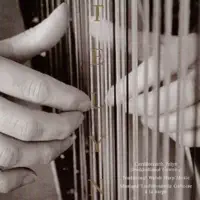 Eryri Wen — Llio Rhydderch