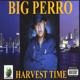 Put It In Your Mouth (feat. Sir Duke) Big Perro