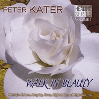 Walk In Beauty - Peter Kater