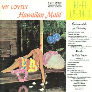 My Hawaiian Souvenirs (Instrumental)
