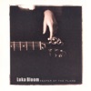 Luka Bloom