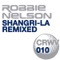 Shangri La (Alex Daf & Iversoon Remix) - Robbie Nelson lyrics