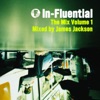 In-Fluential - The Mix, Vol. 1 (Mixed by James Jackson)
