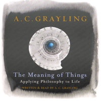 A. C. Grayling - The Meaning of Things (Abridged Nonfiction) artwork