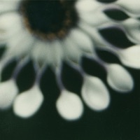 5: Bergen - Skizzen + Notzen - N