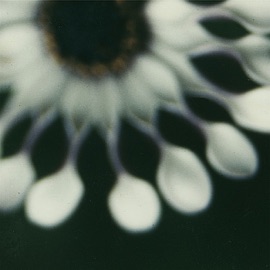 Bergen SEE Volle Kraft 2ter Diesel Mit Beschaedigter Nockenwelle N & Segment